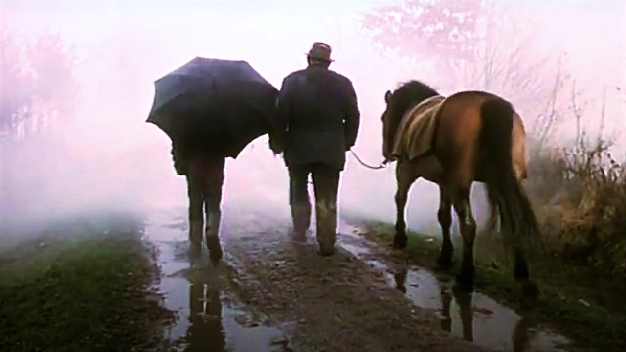 Backdrop for An Event