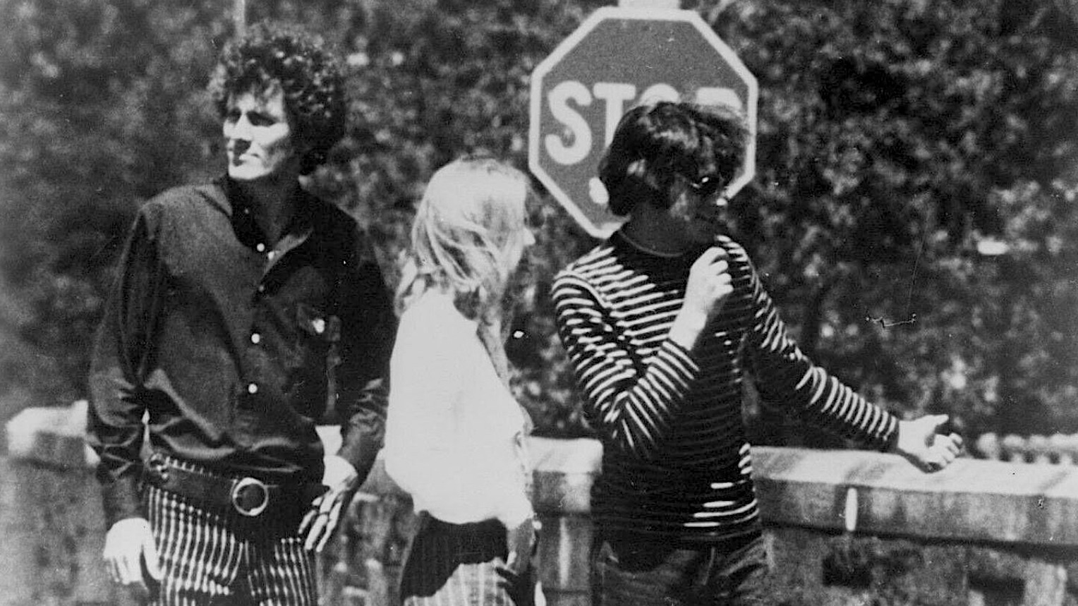 Backdrop for March of the Spring Hare