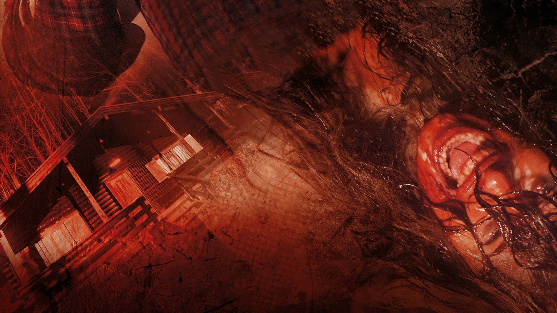 Backdrop for The Perfect Husband