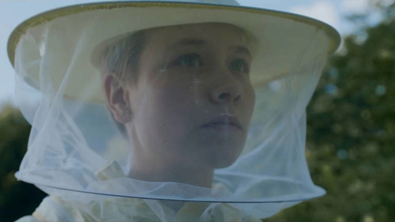 Backdrop for The Swarmers