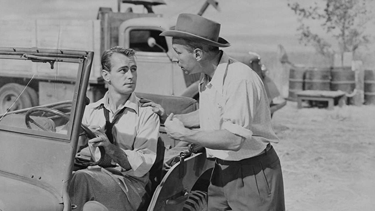 Backdrop for Wild Harvest