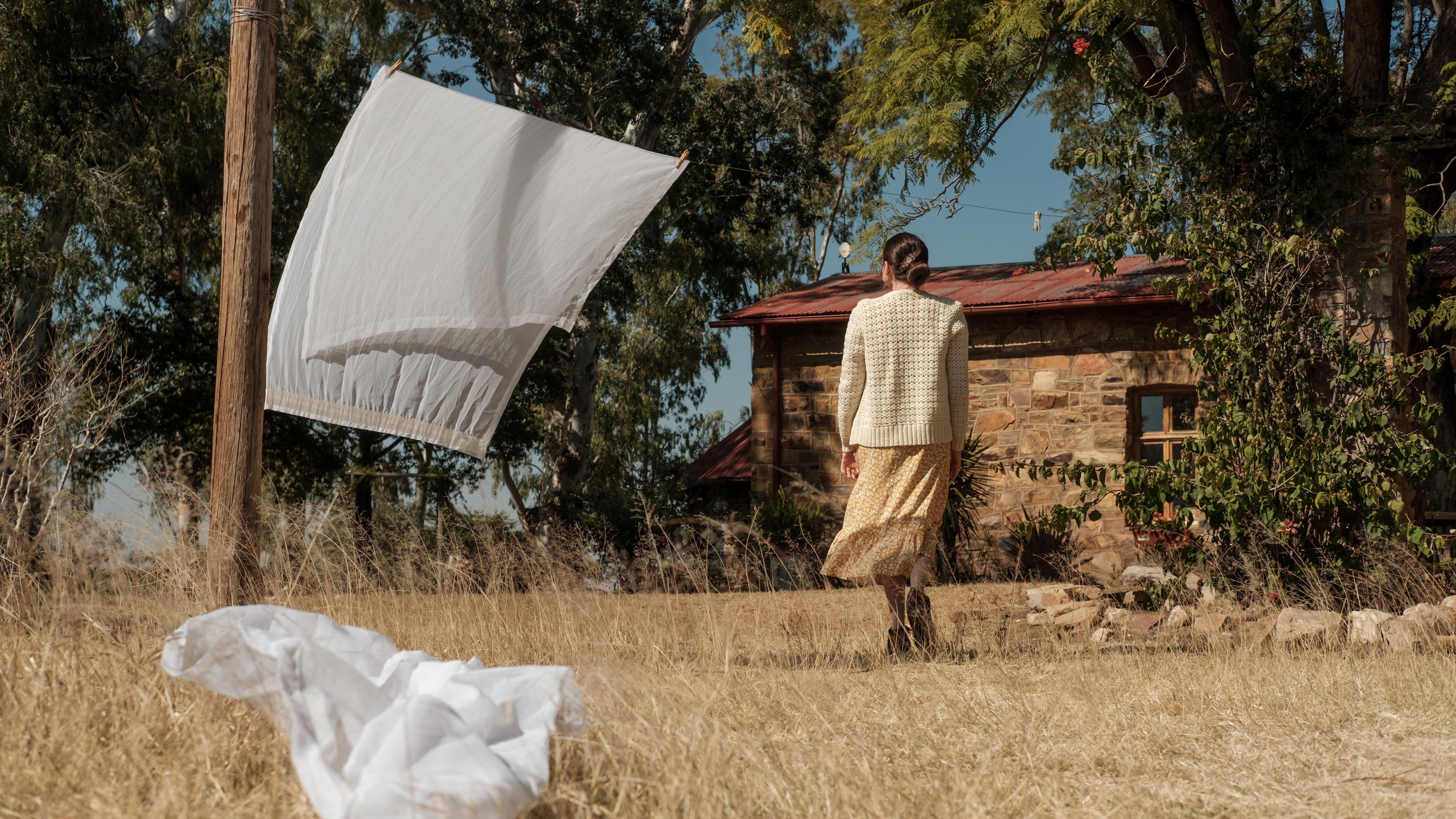 Backdrop for Under the Hanging Tree