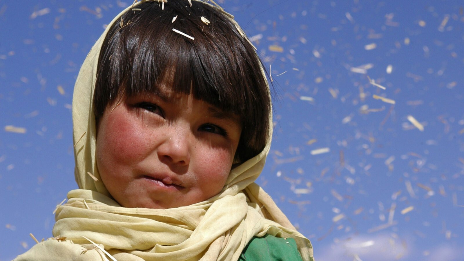 Backdrop for Buddha Collapsed Out of Shame