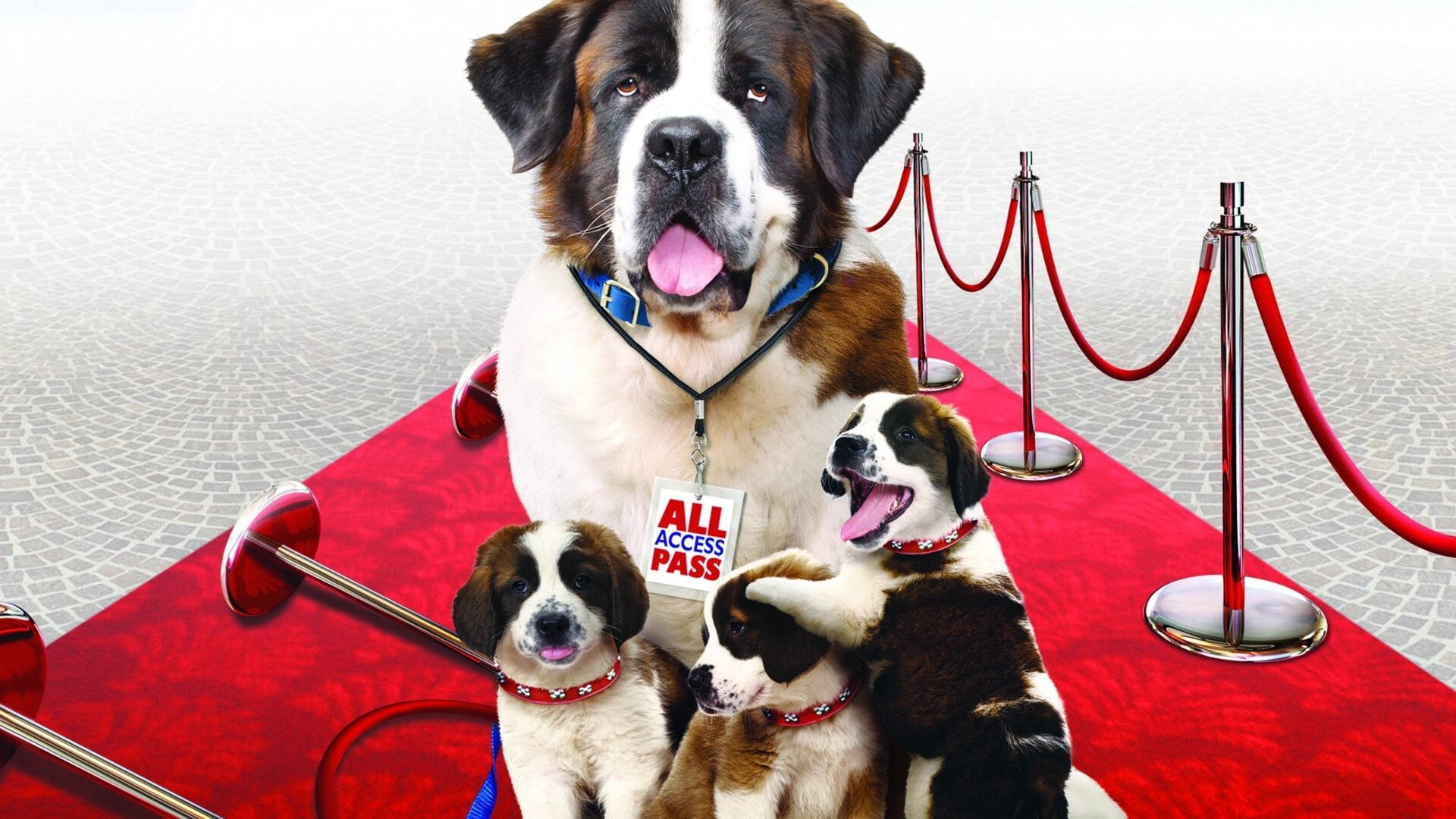 Backdrop for Beethoven's Big Break