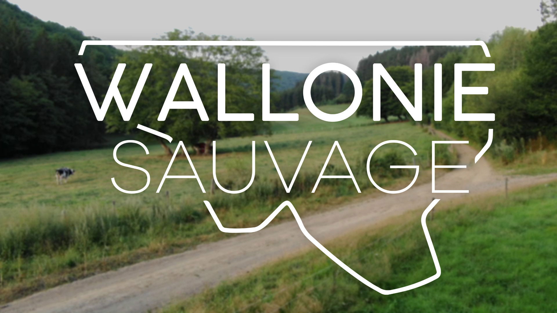 Backdrop for Wallonie sauvage