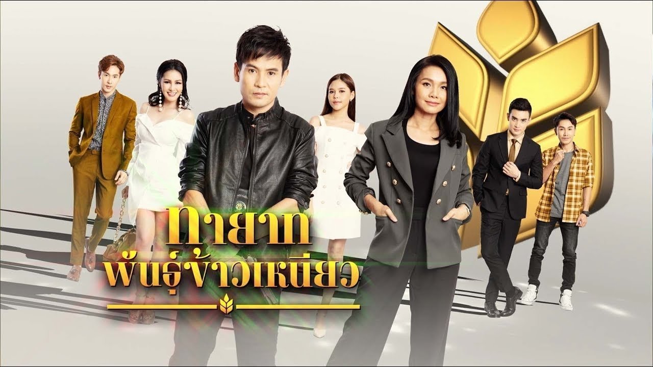 Backdrop for Family Harmony