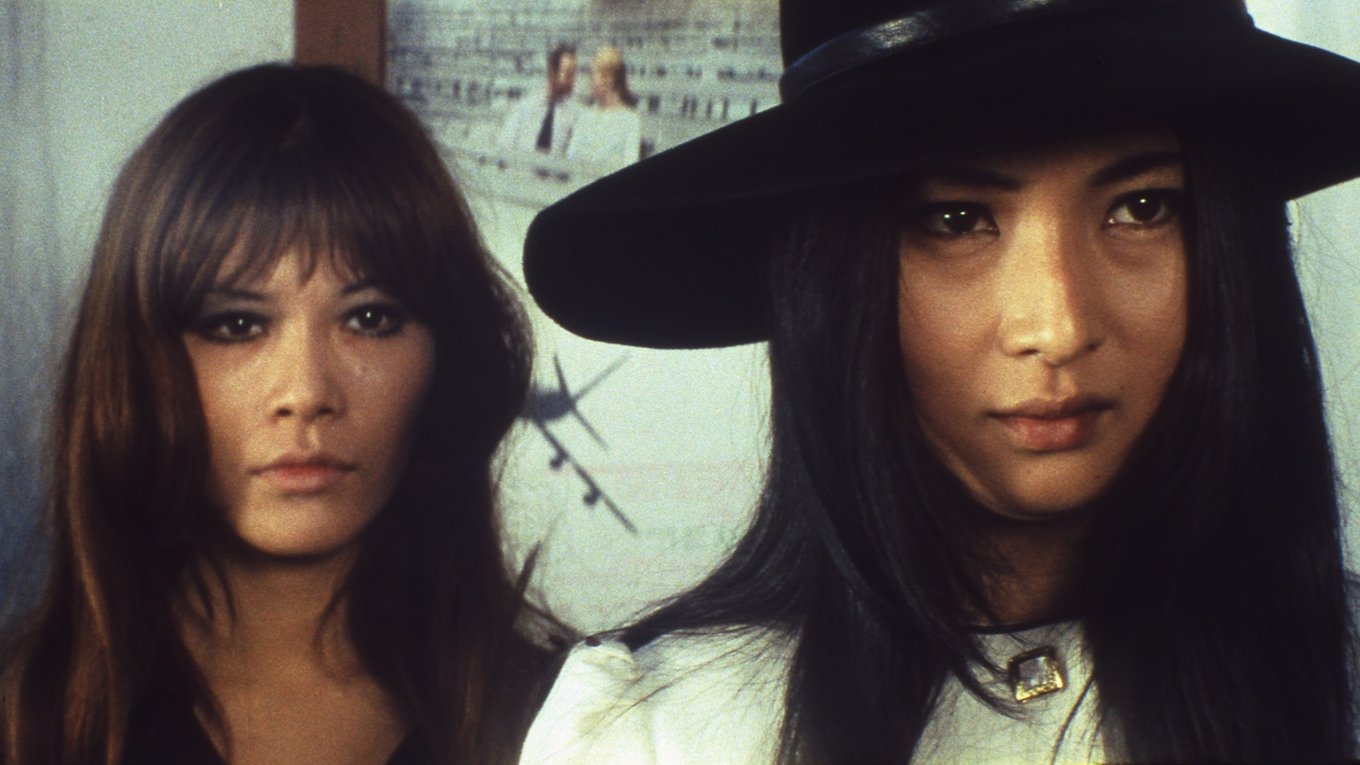 Backdrop for Stray Cat Rock: Machine Animal