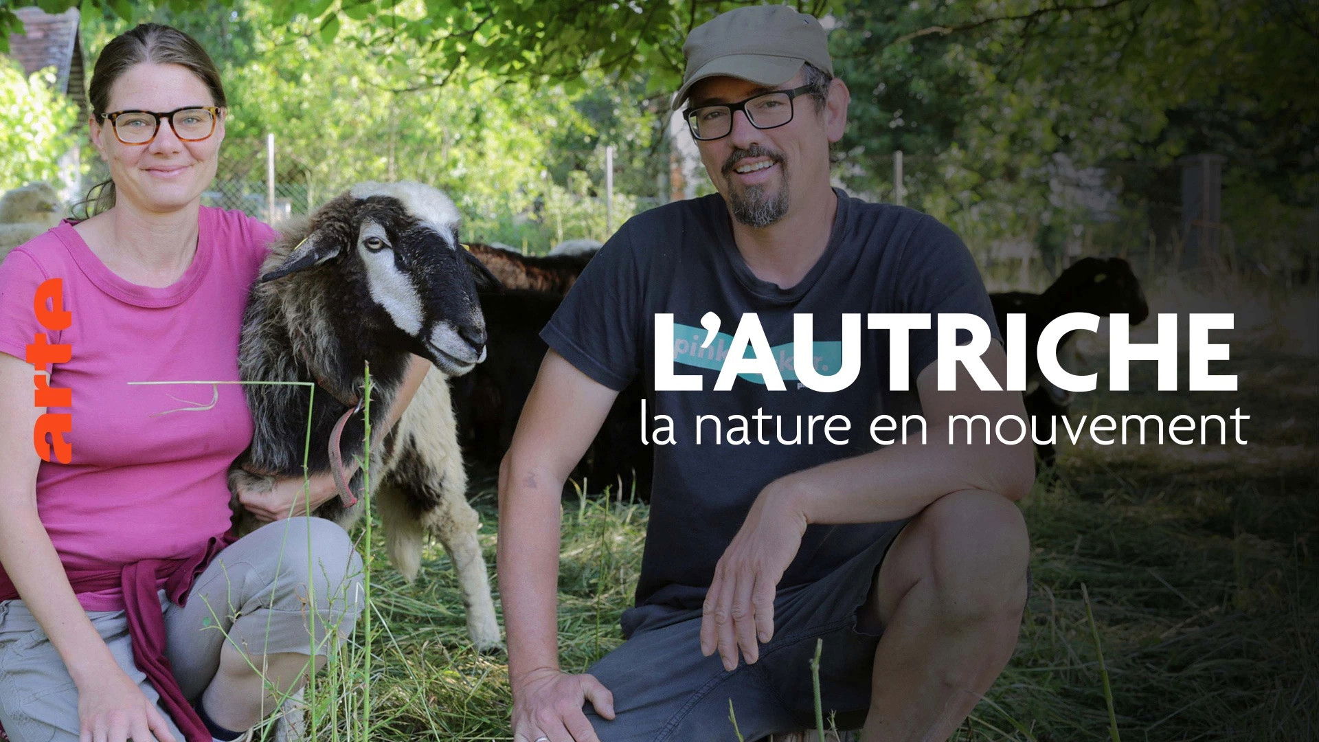 Backdrop for L’Autriche, la nature en mouvement