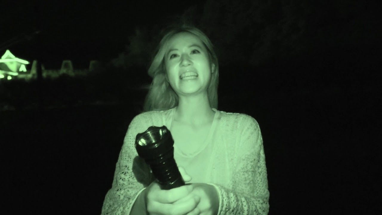 Backdrop for Spirit Pandemic Phase 4