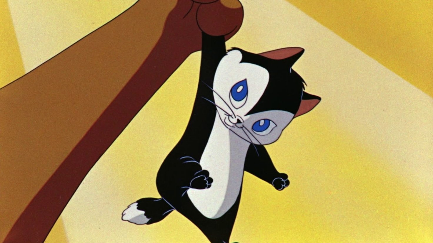 Backdrop for Kiss Me Cat