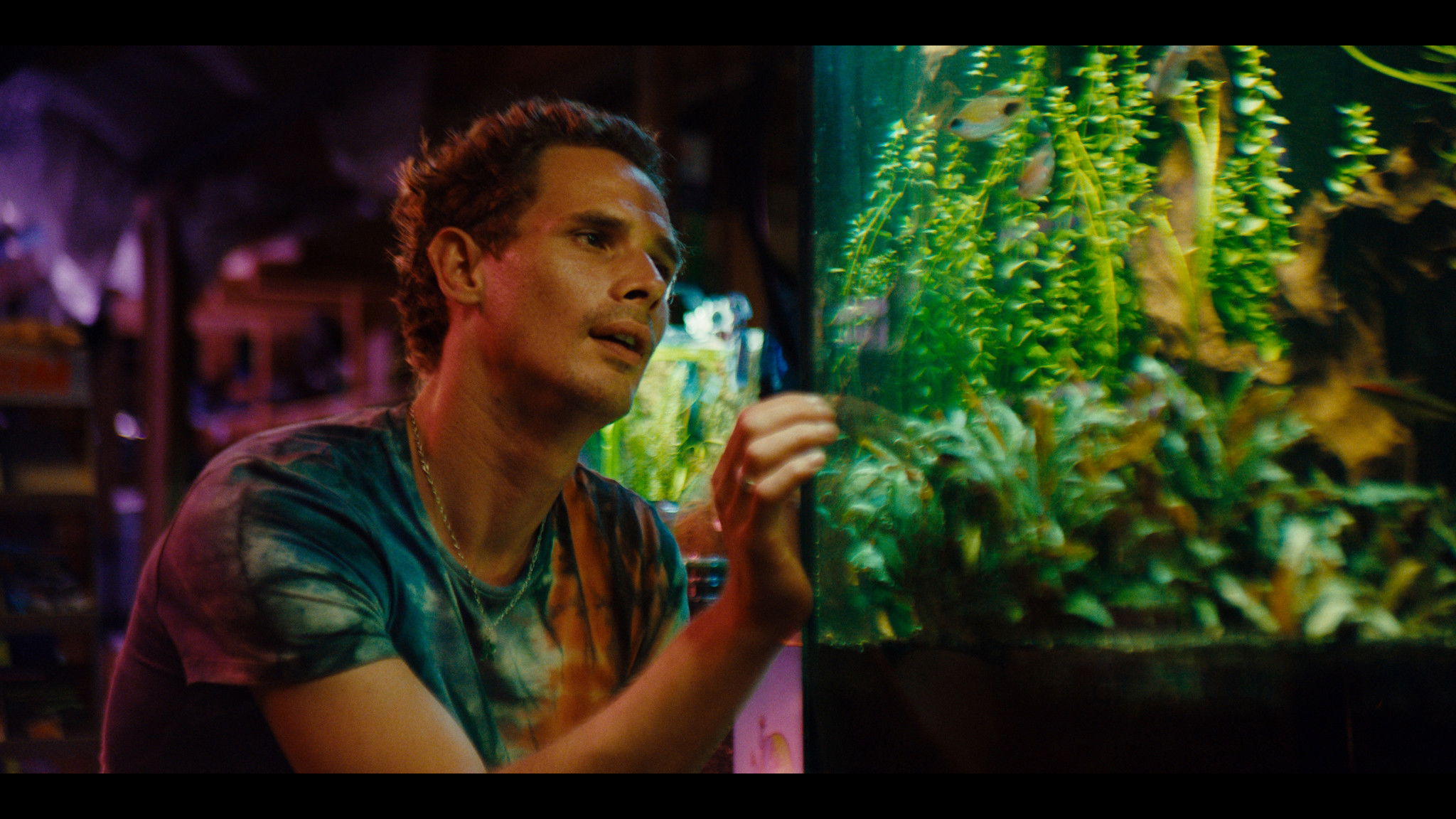 Backdrop for Rocky Meets Lucy