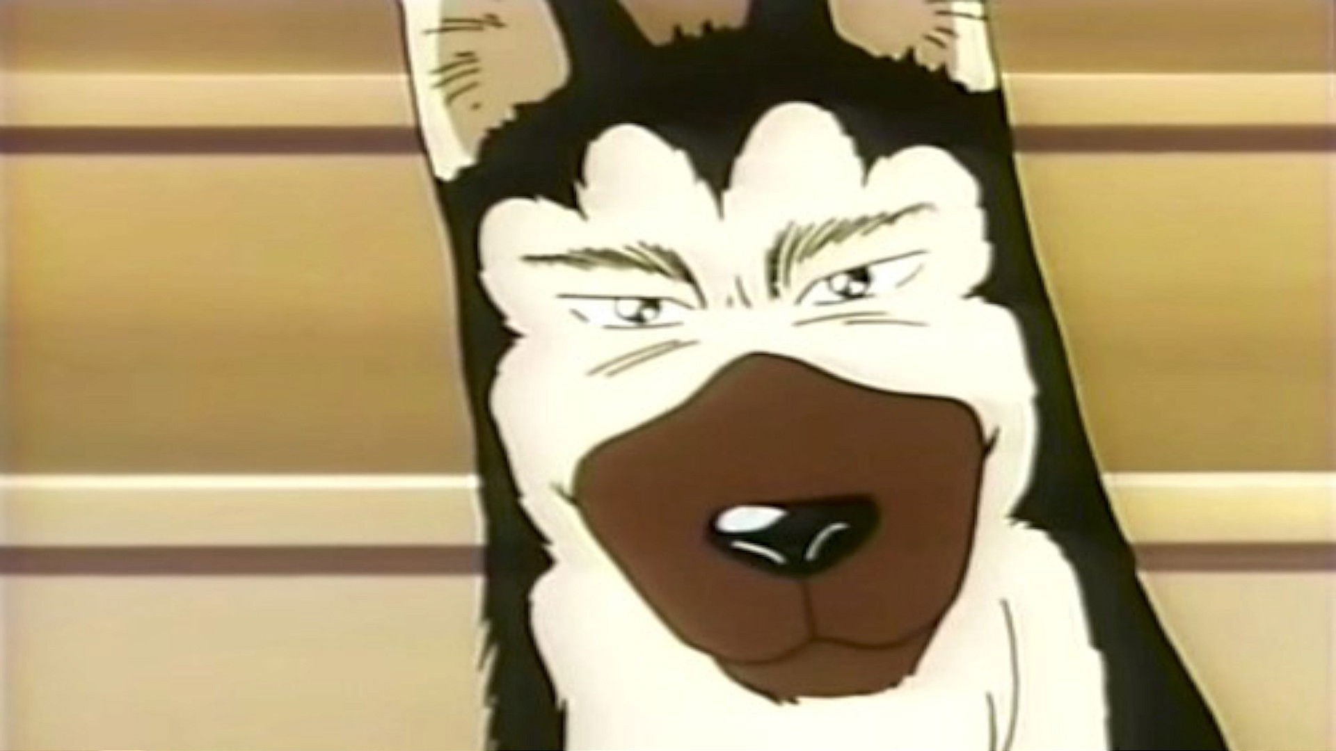 Backdrop for Kennel Tokorozawa