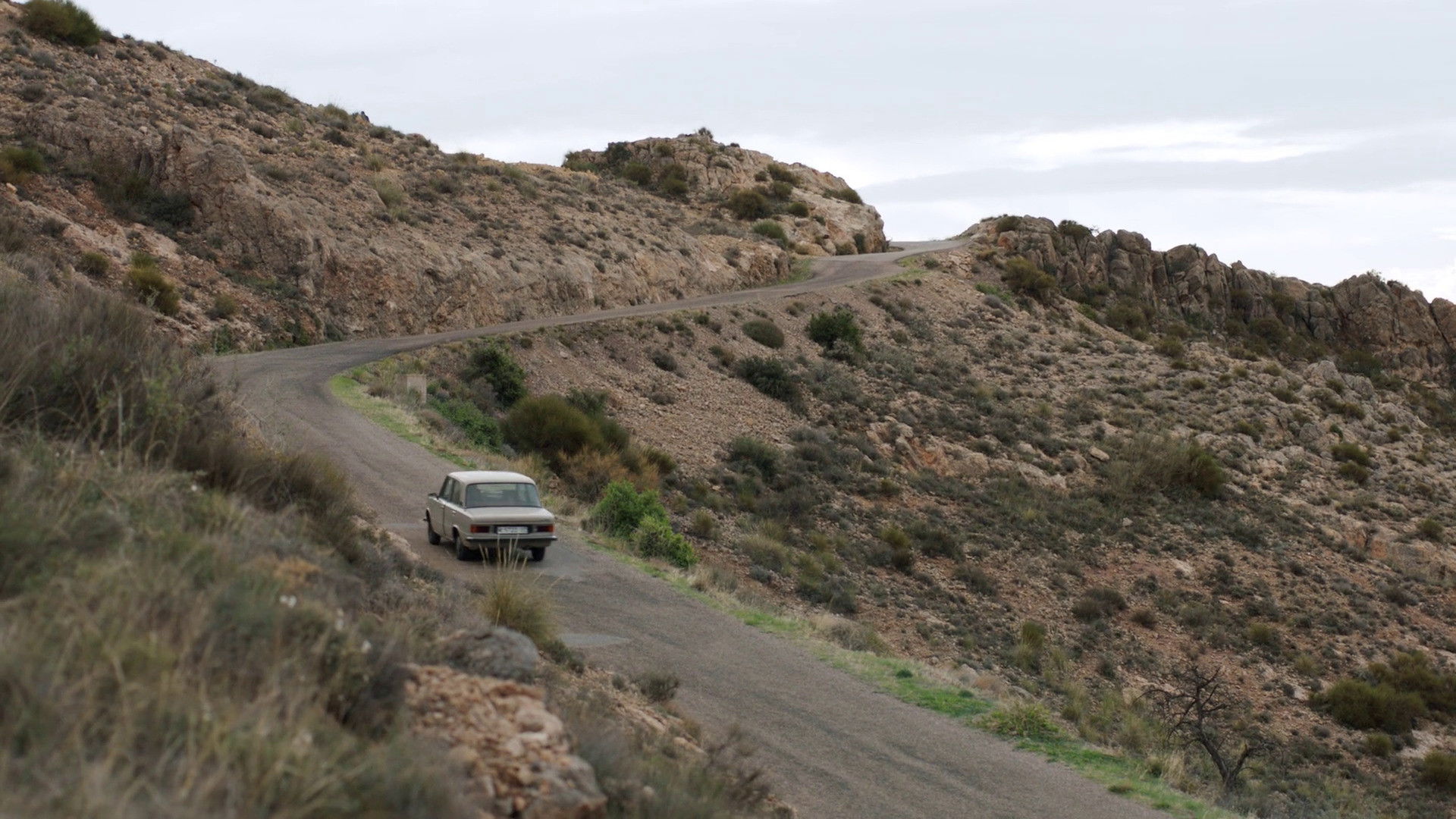 Backdrop for Bajo la palmera