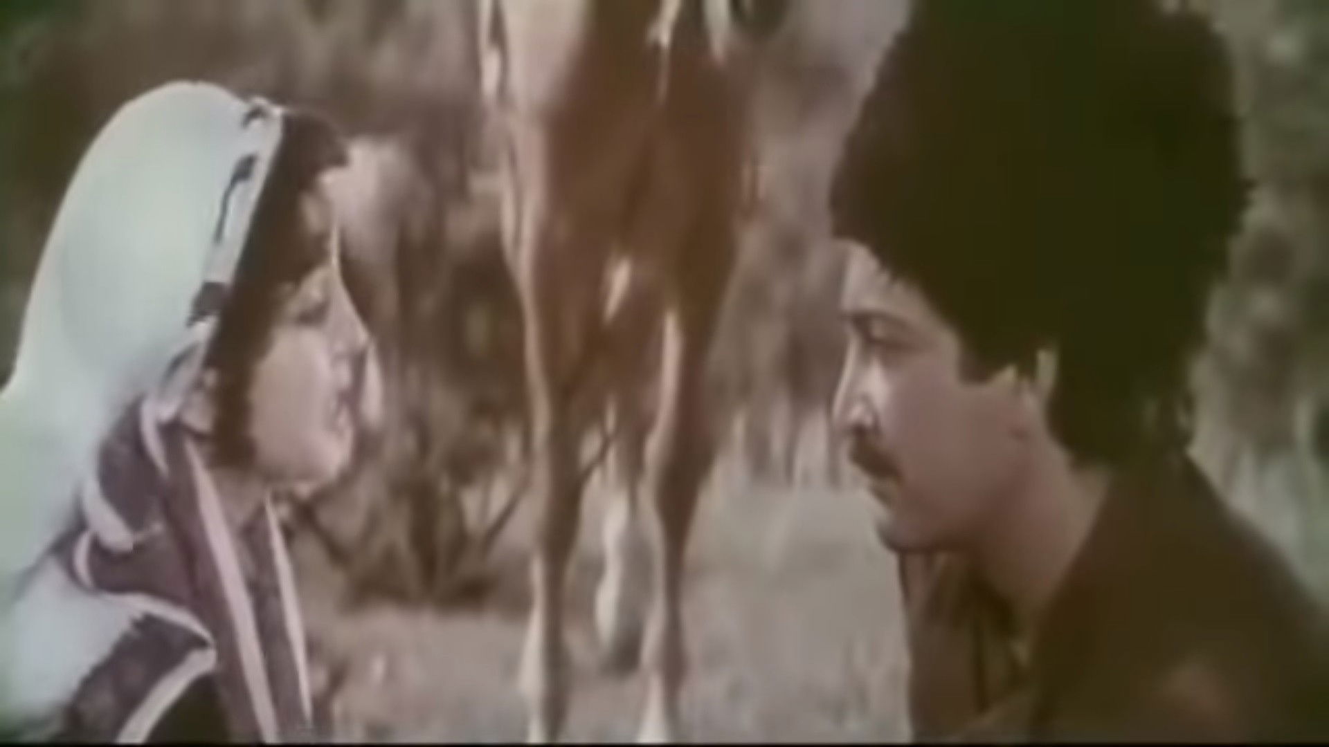 Backdrop for Wait for Me