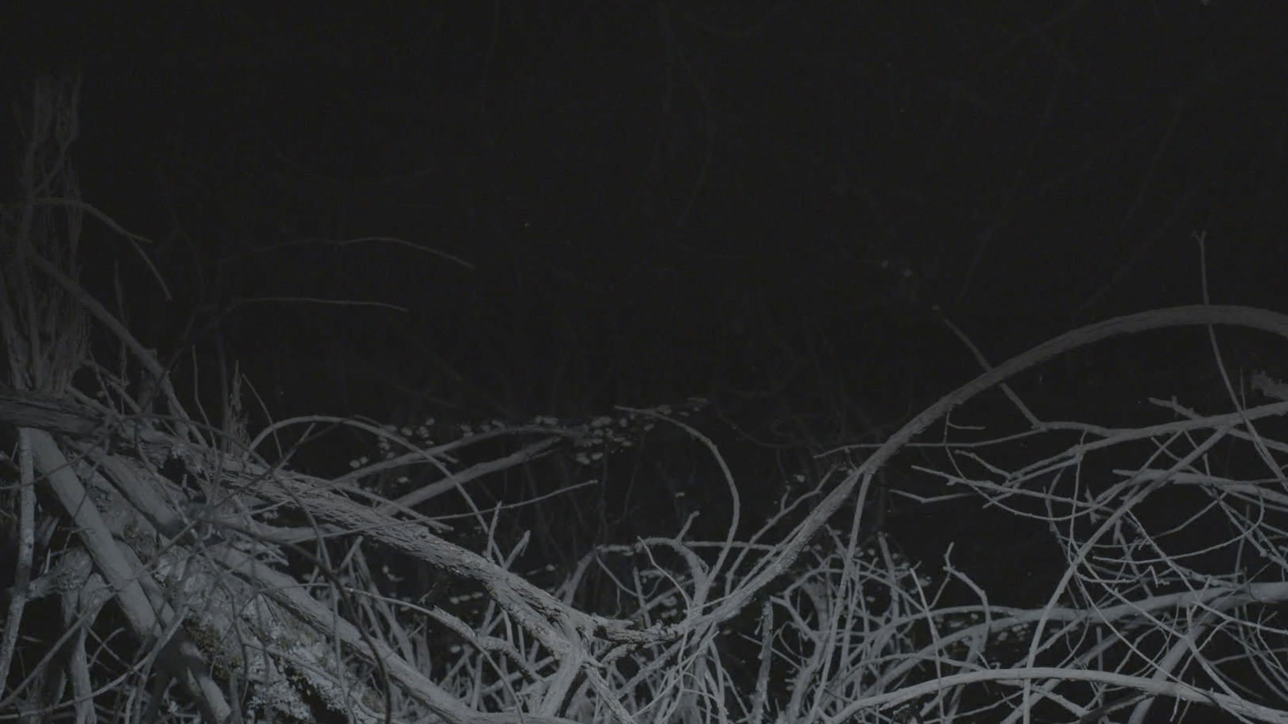 Backdrop for All the Planets in My Heart