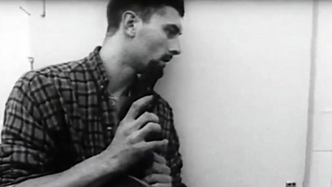 Backdrop for Mondo Bobo