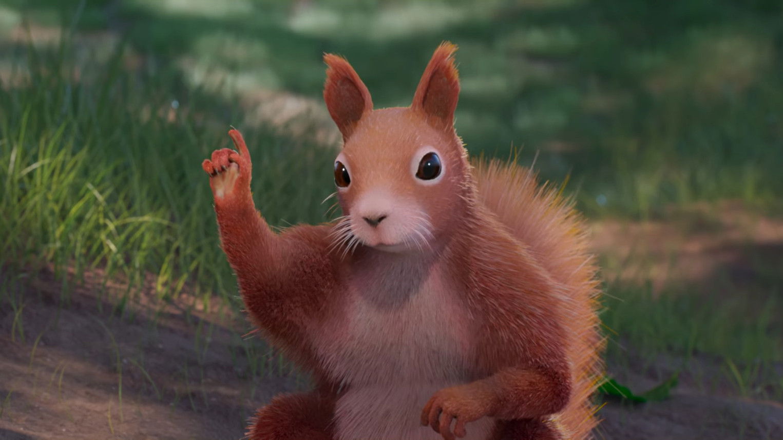 Backdrop for Little Doctor