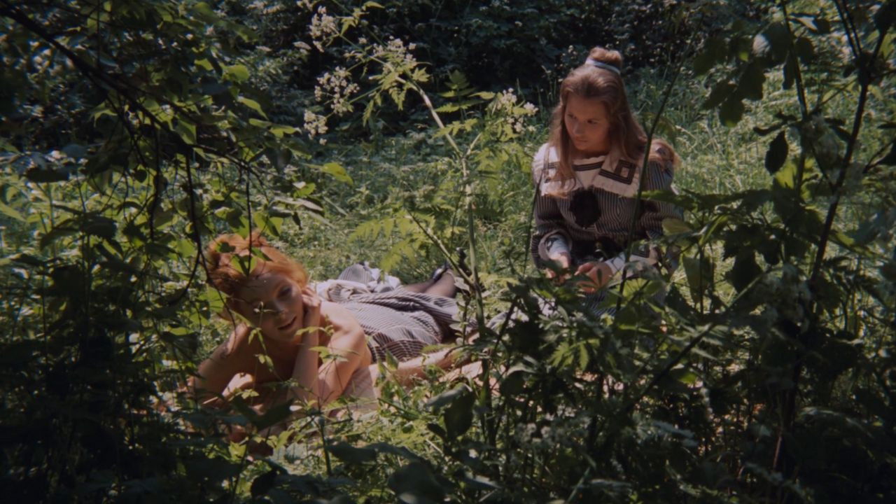 Backdrop for Ants' Nest