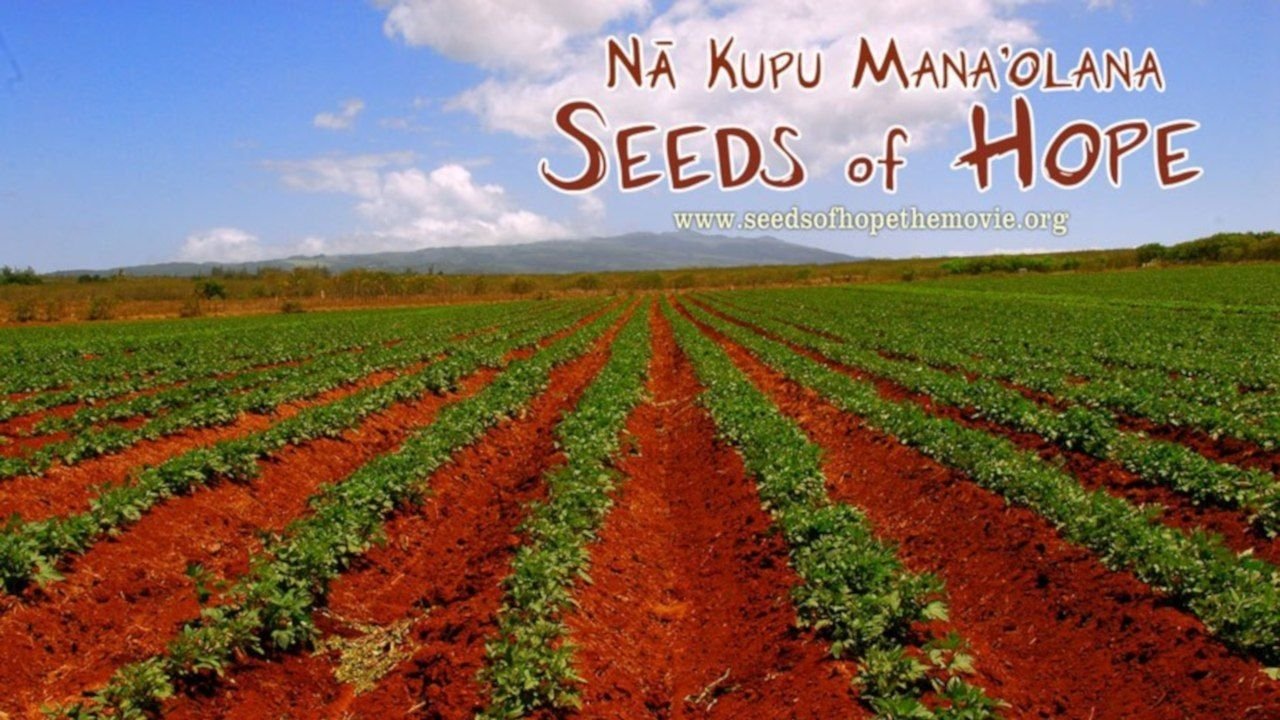 Backdrop for Seeds of Hope