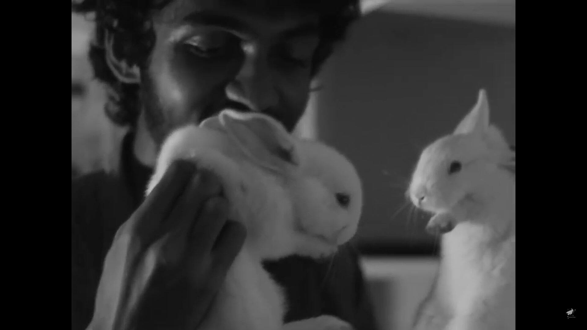 Backdrop for REPLICA