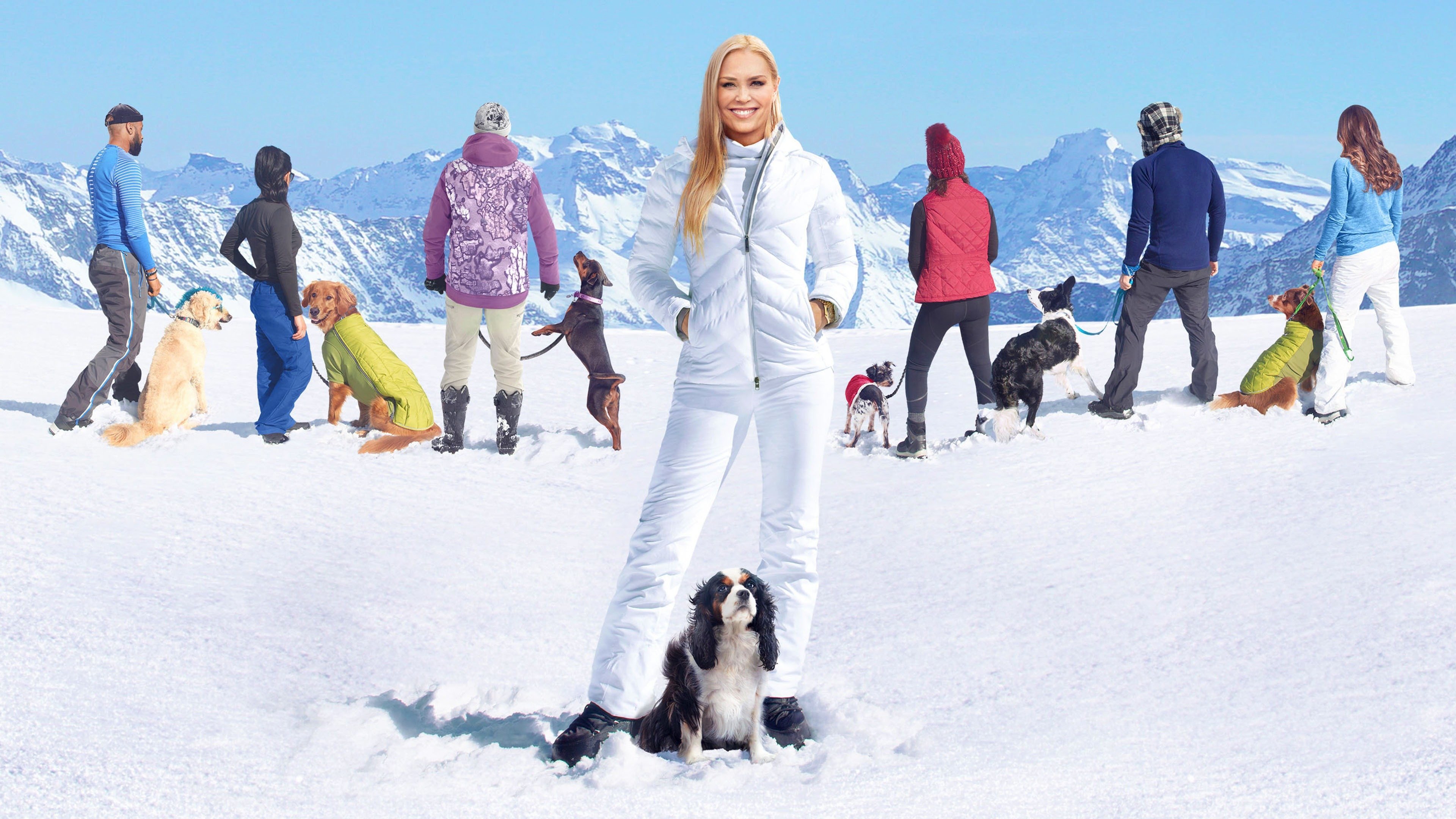 Backdrop for The Pack