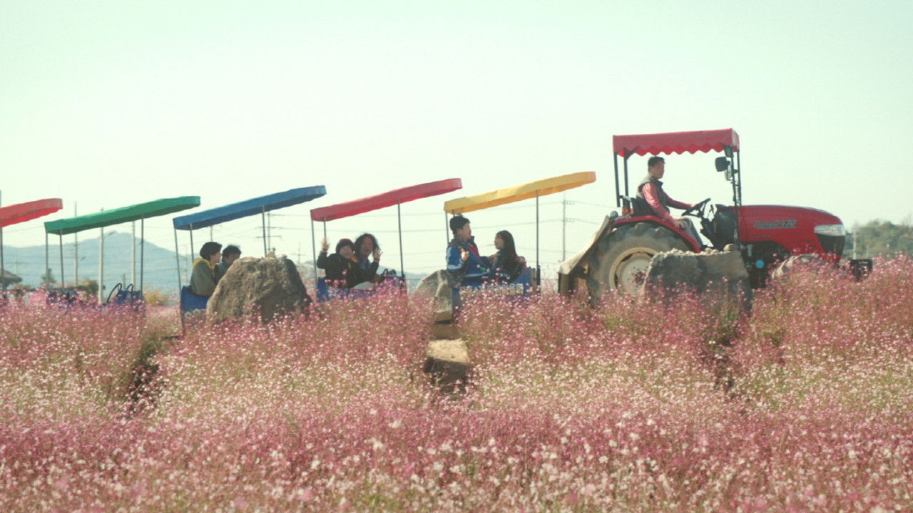 Backdrop for Sehabyeol