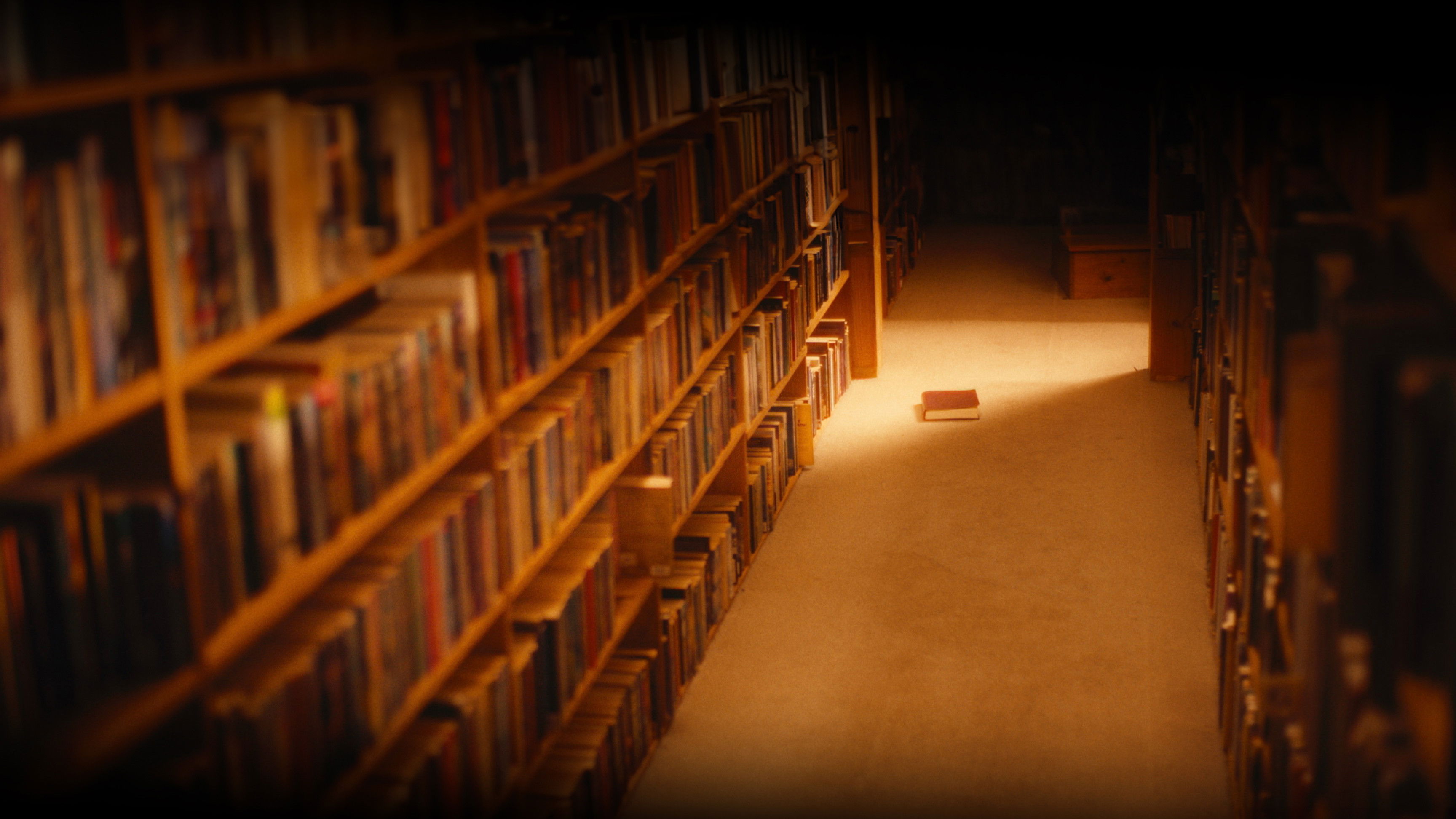 Backdrop for A Message to the Author