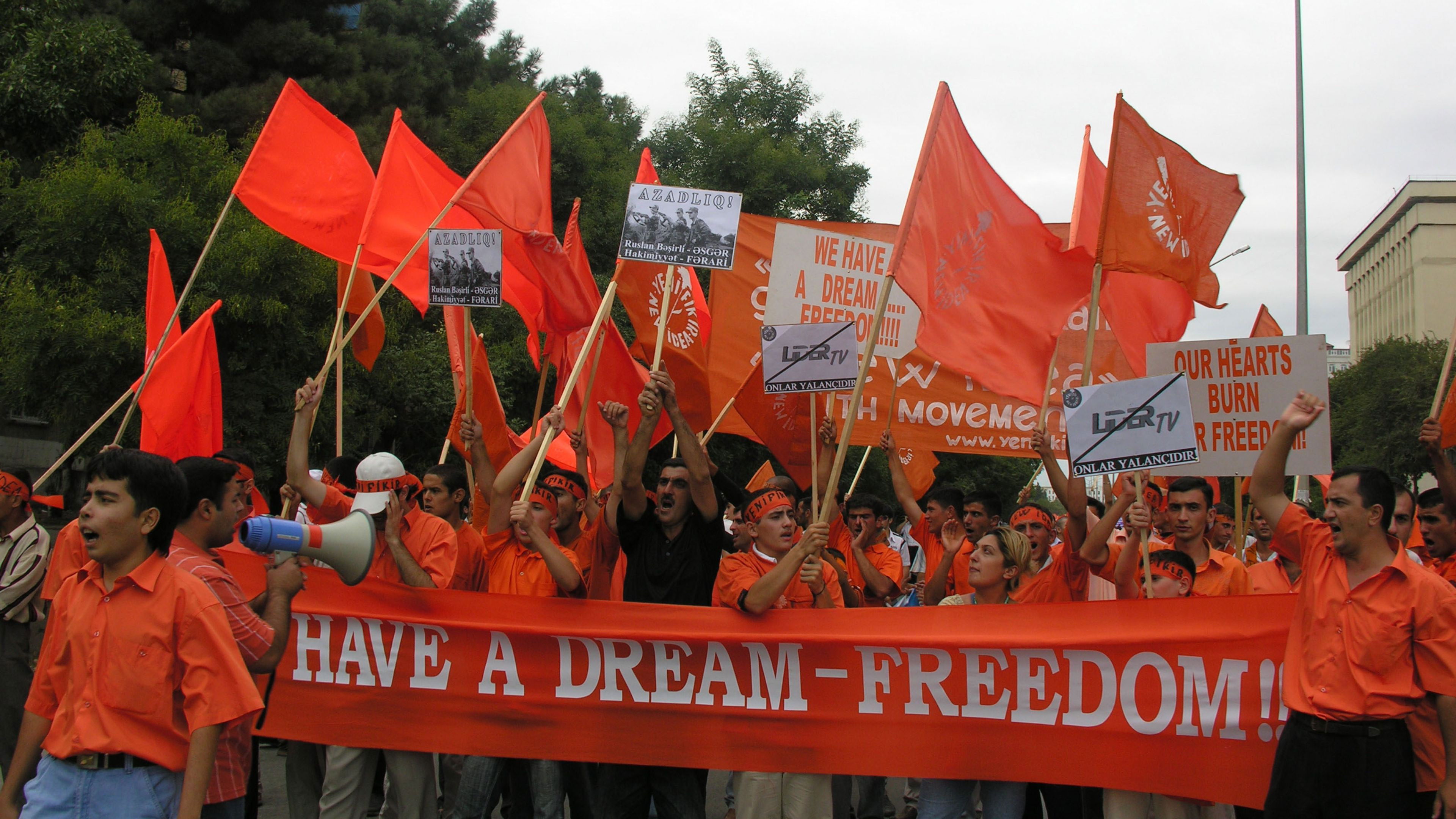 Backdrop for The Democratic Revolutionary Handbook