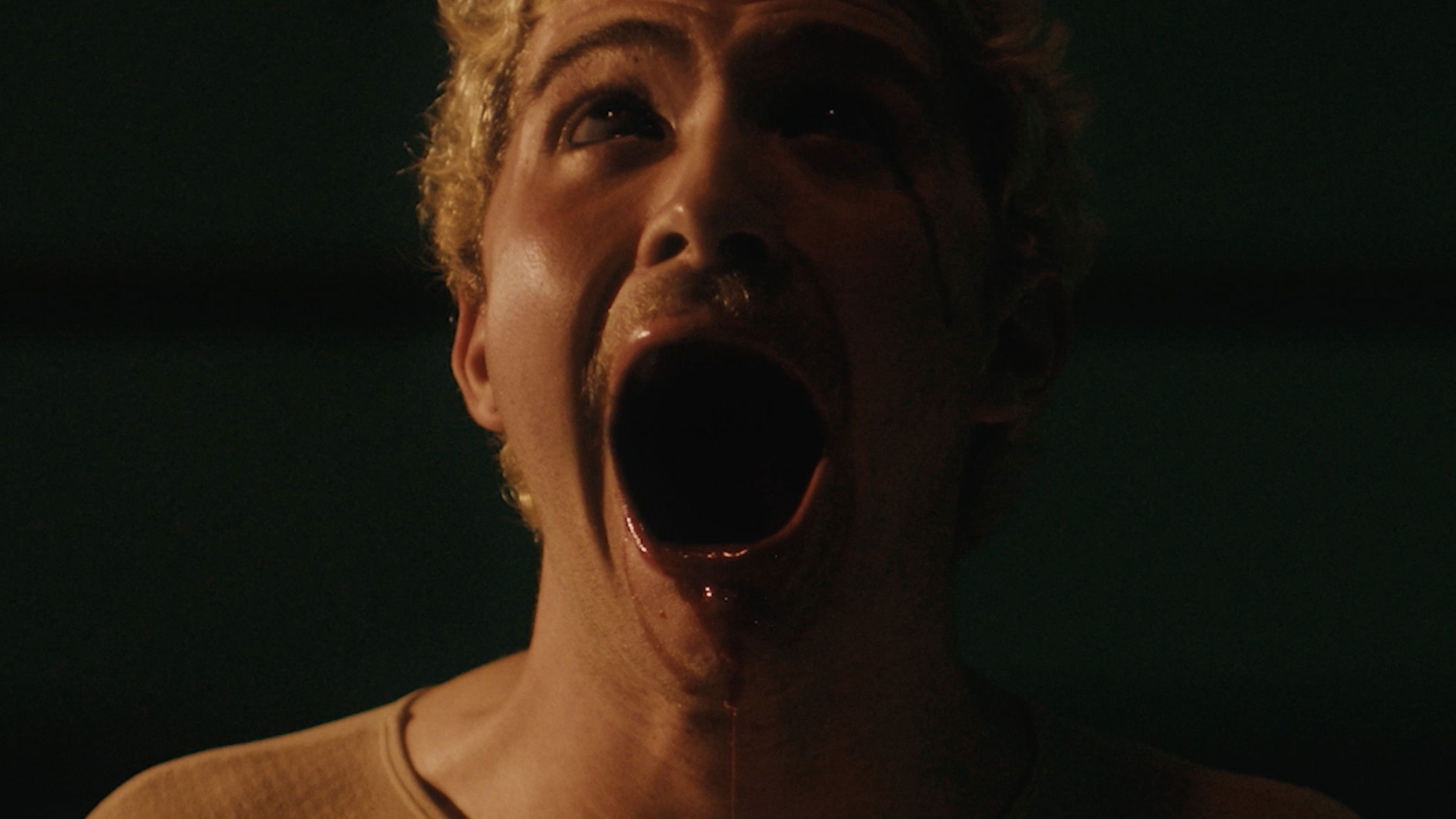 Backdrop for Bloodletting