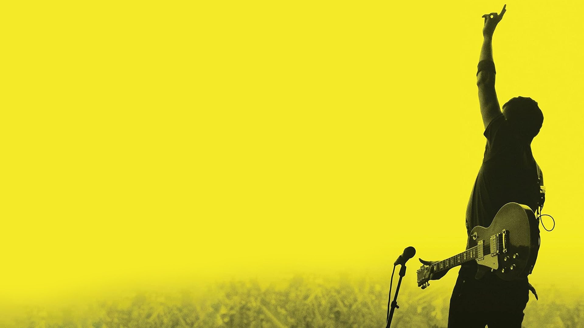 Backdrop for The Vans Warped Tour 15th Anniversary Celebration