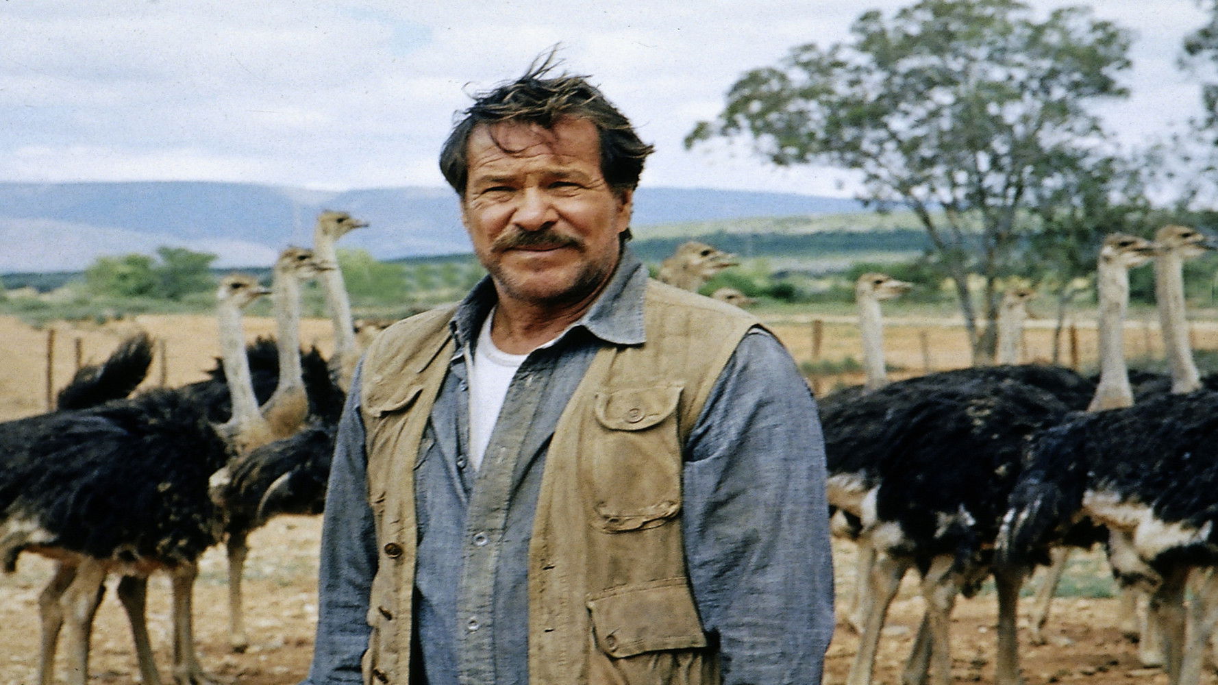 Backdrop for Einmal so wie ich will