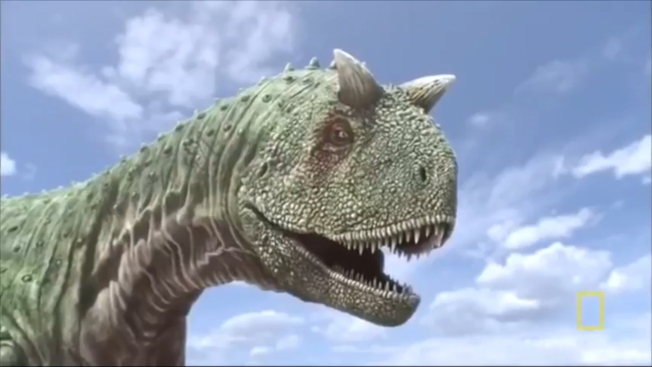 Backdrop for Life After Dinosaurs