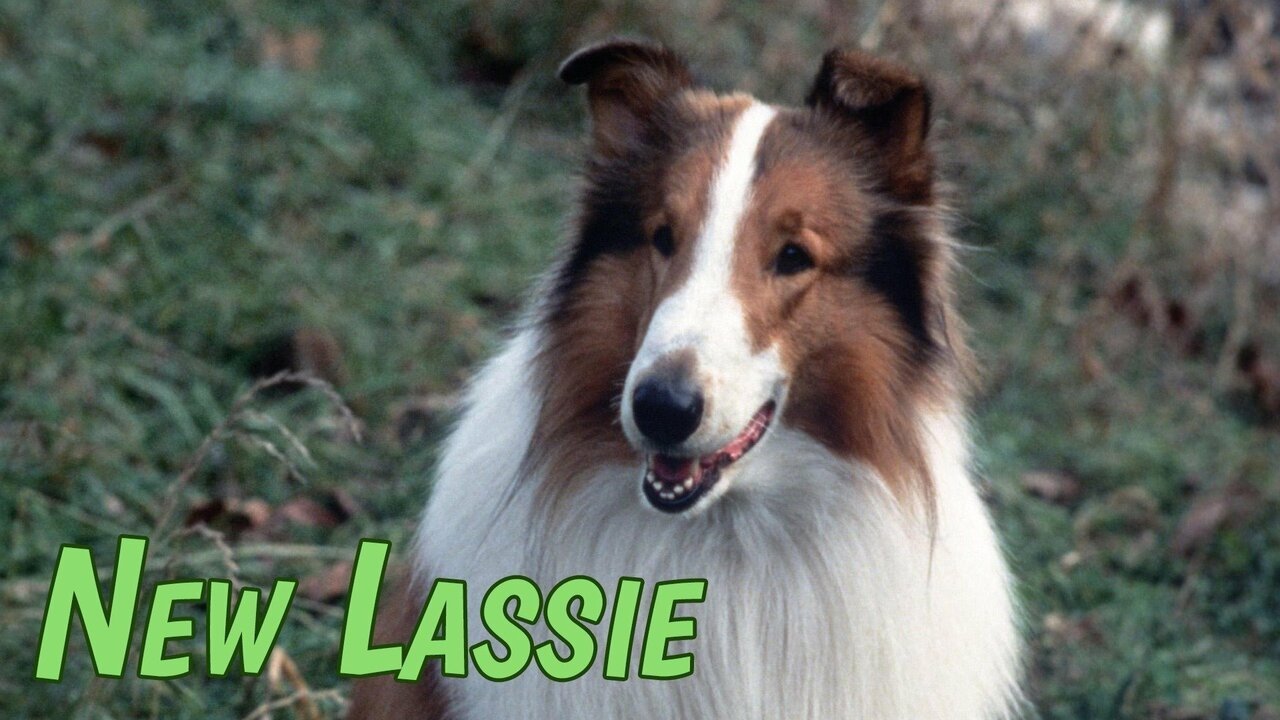 Backdrop for The New Lassie