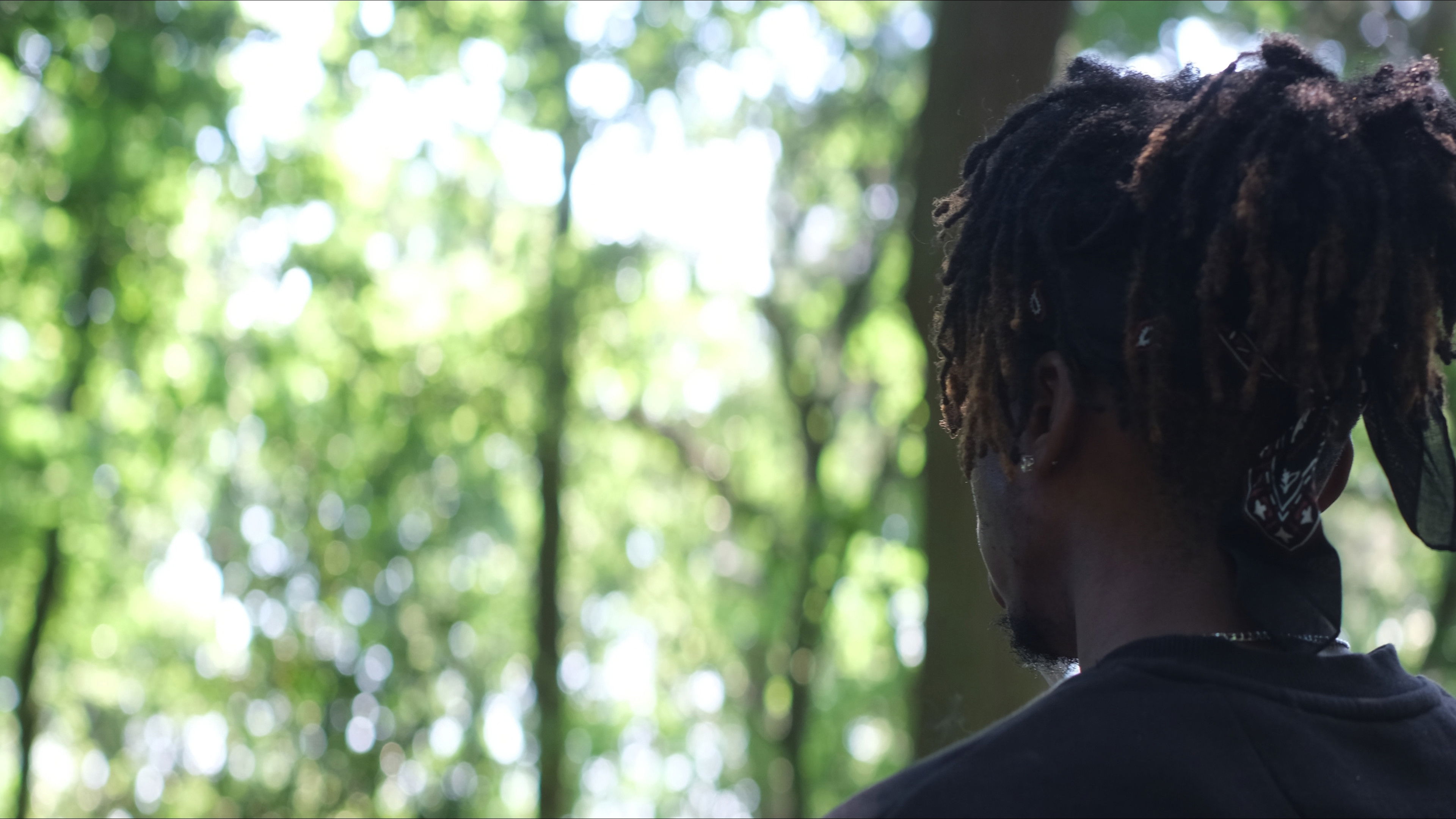 Backdrop for IN TURN; RETROGRADE