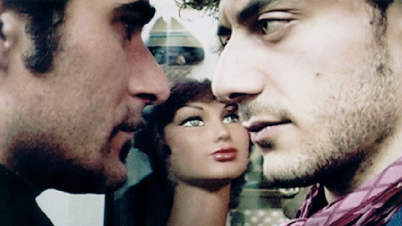 Backdrop for RosaTigre