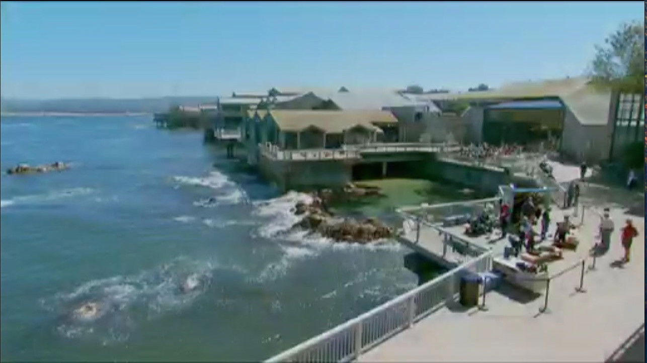 Backdrop for Oceans in Glass