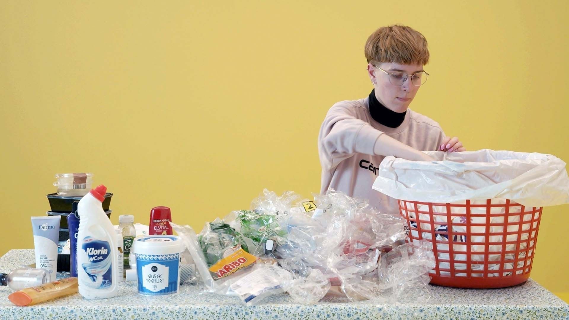 Backdrop for We the Guinea Pigs