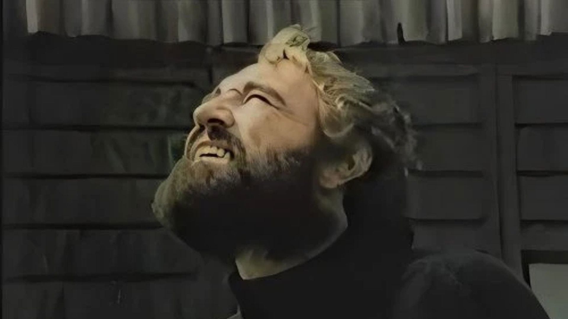 Backdrop for The Snow Goose