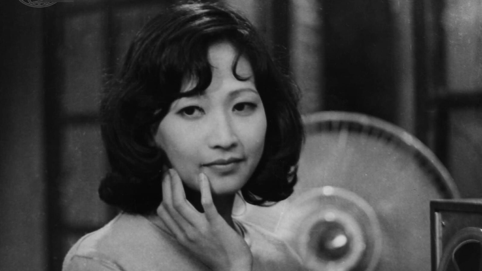 Backdrop for The Last Hope