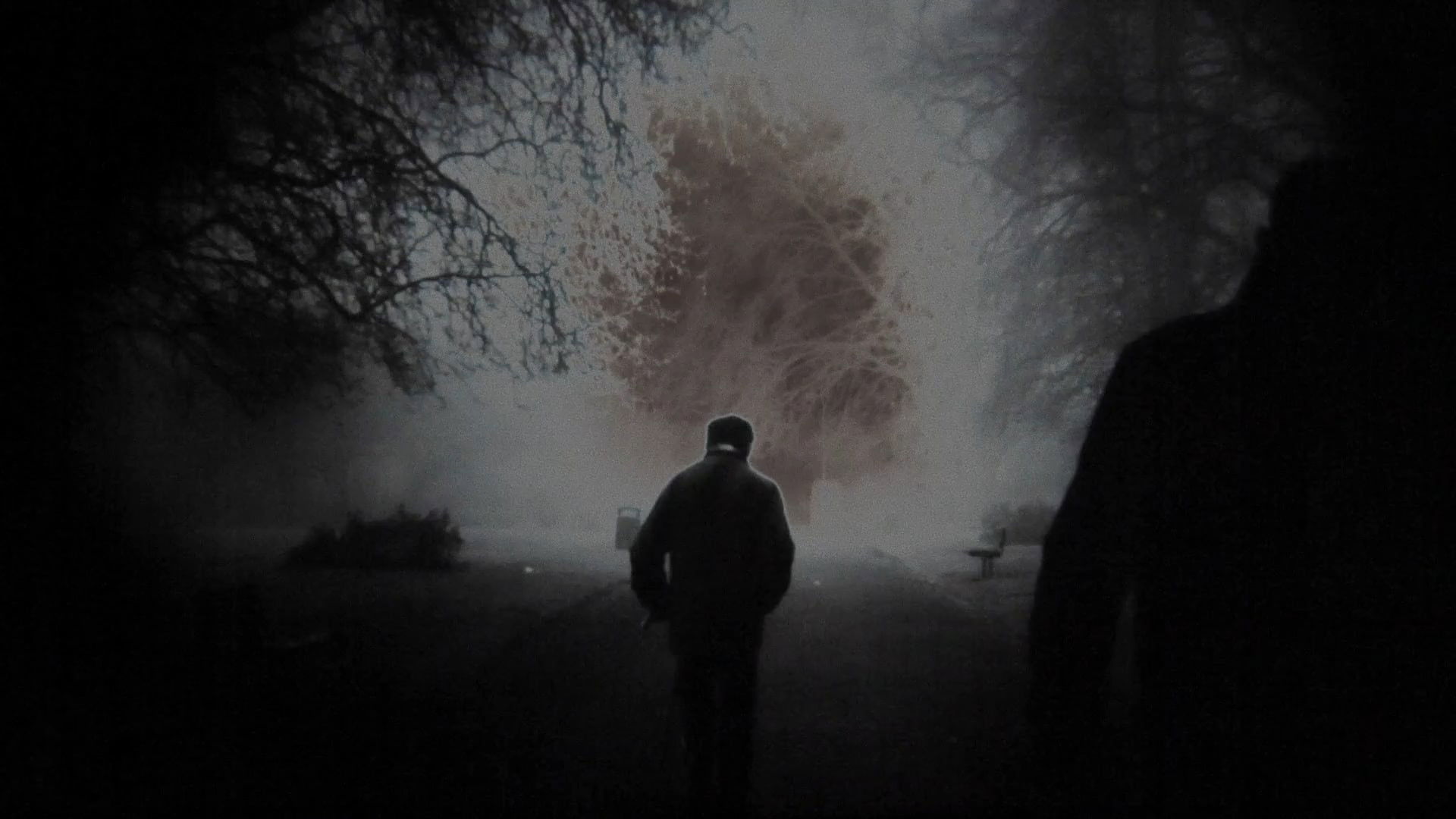 Backdrop for Ten Years In The Sun