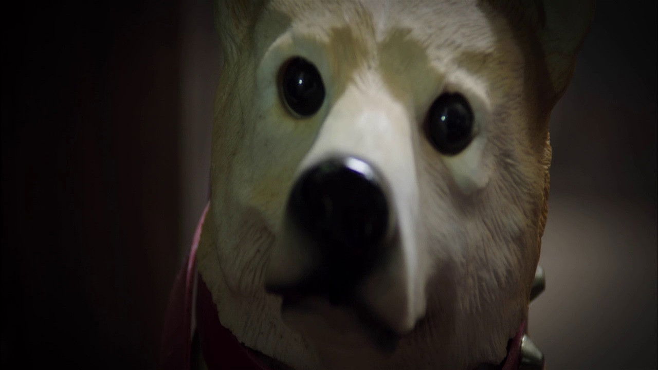 Backdrop for The Incredible Truth