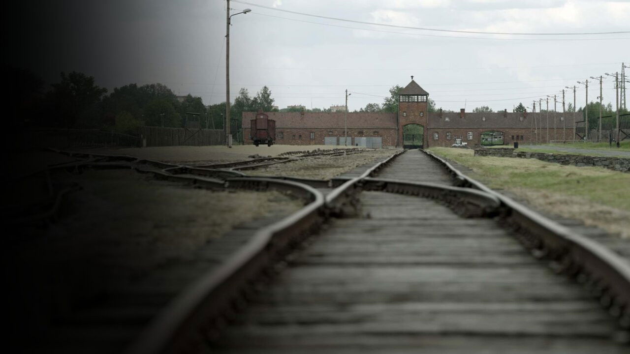 Backdrop for Les Traces D'Auschwitz (2021)