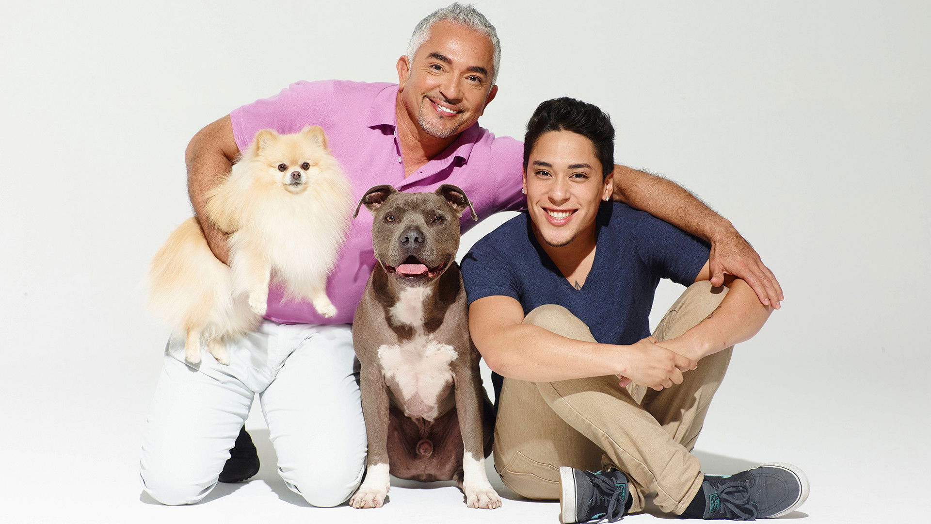Backdrop for Cesar Millan's Dog Nation