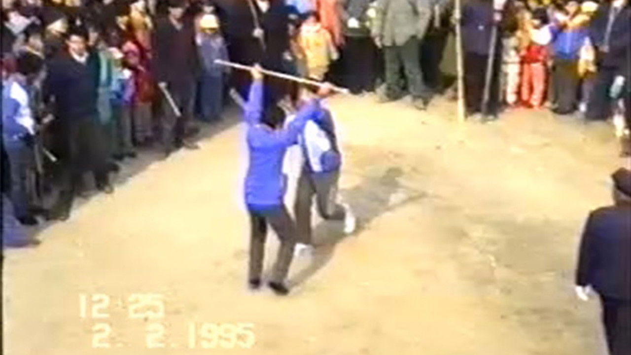 Backdrop for 1995年2月2日民间举办迎喜花会