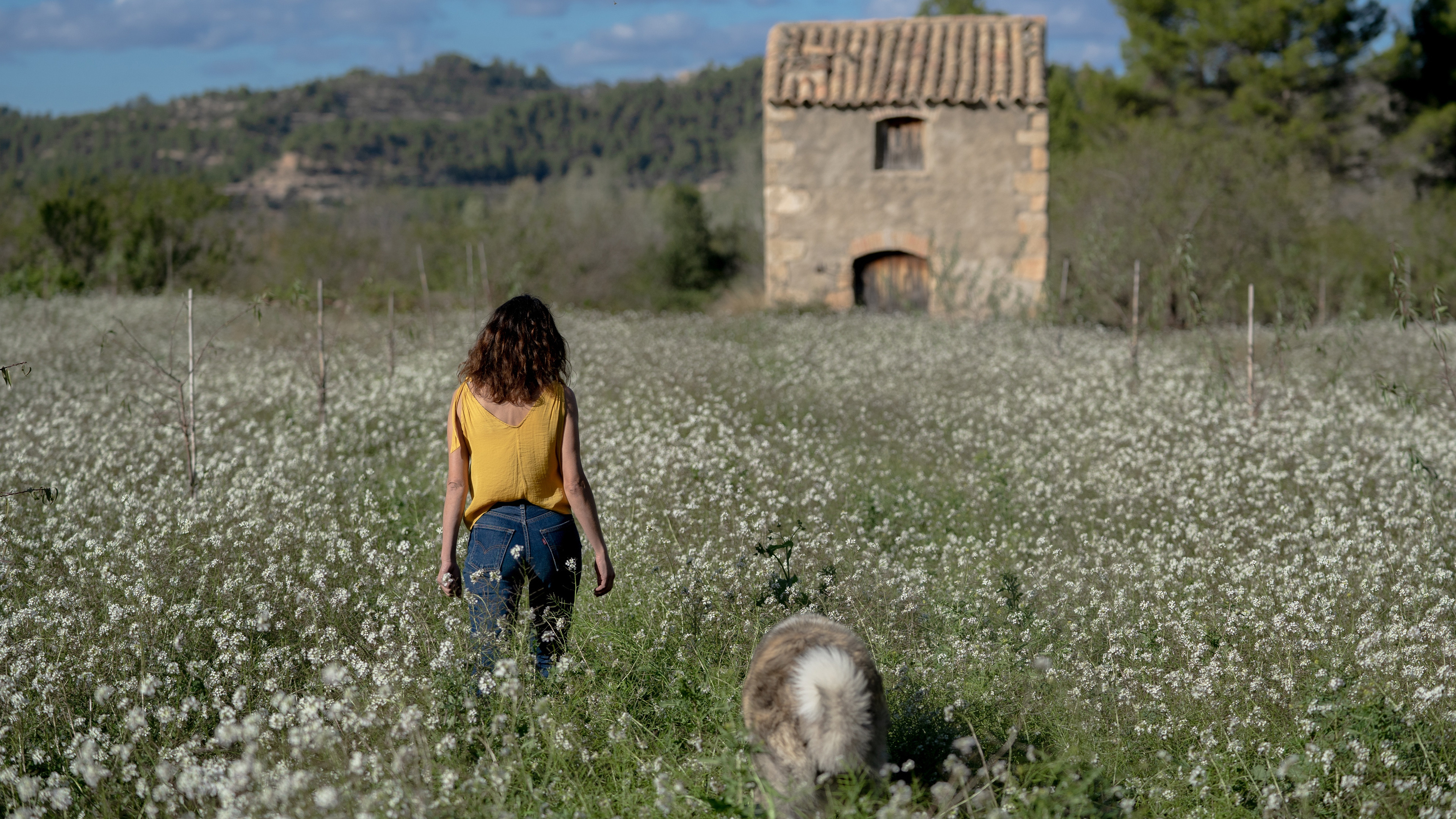 Backdrop for Glimmers