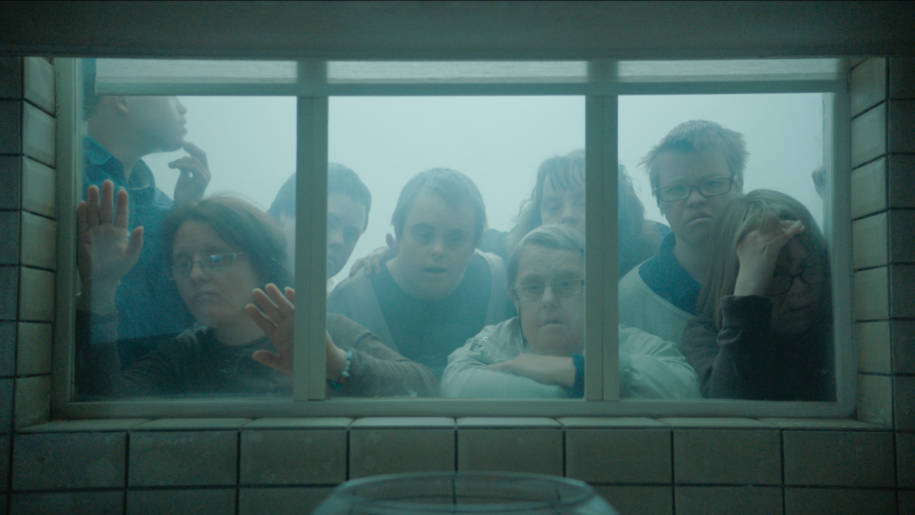 Backdrop for Downside Up