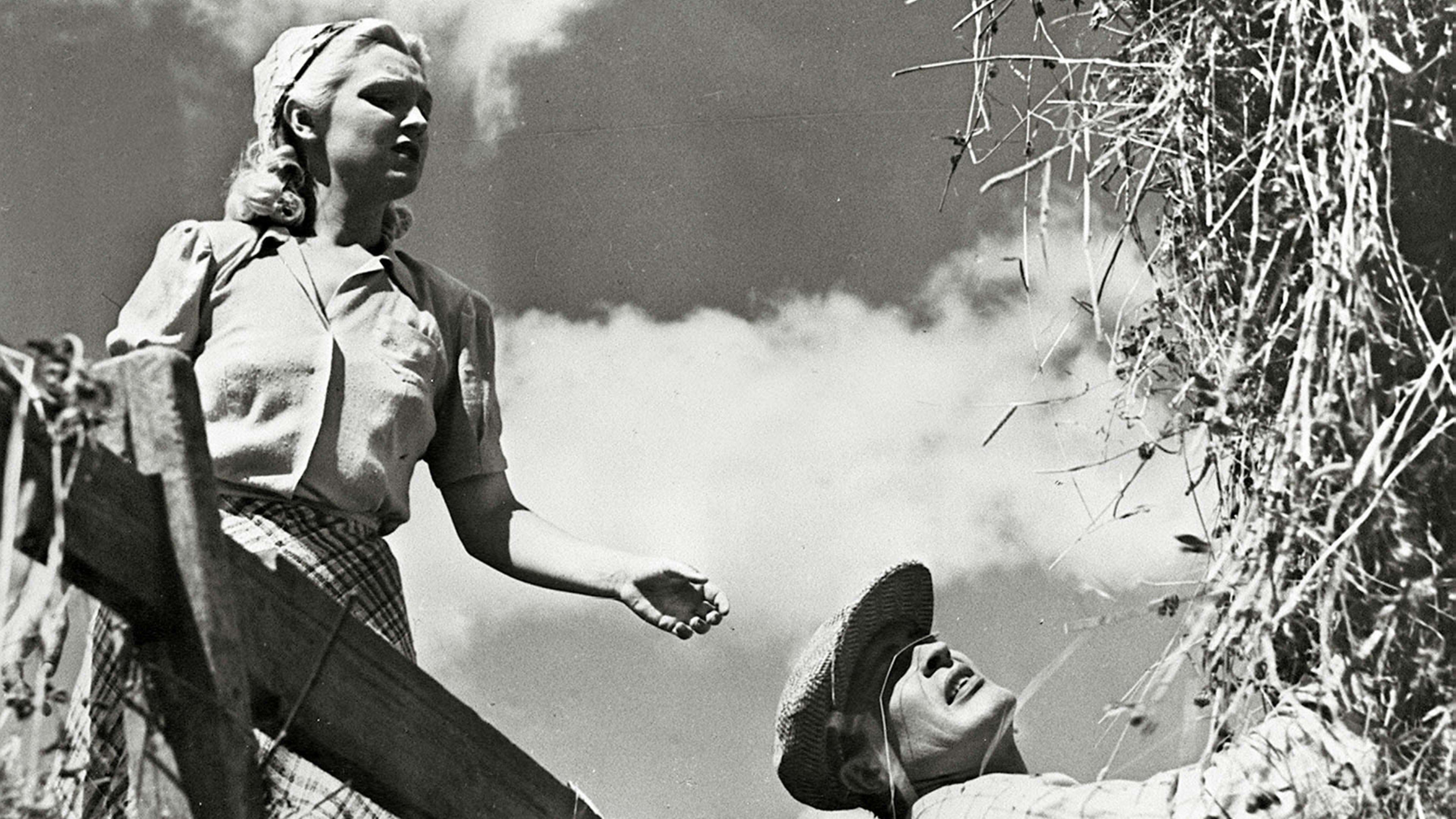 Backdrop for Oi, kallis Suomenmaa