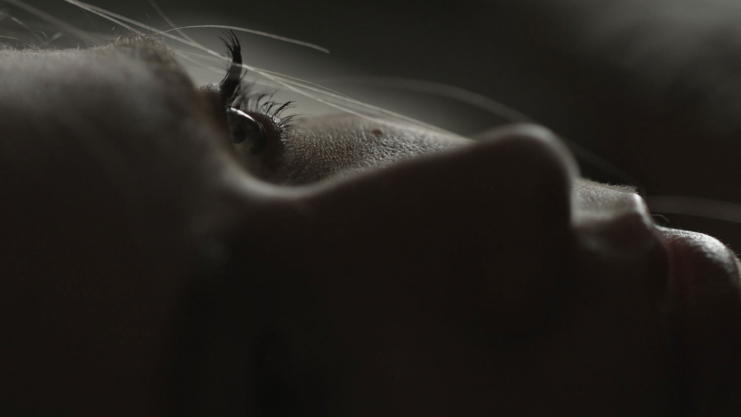 Backdrop for Hominid