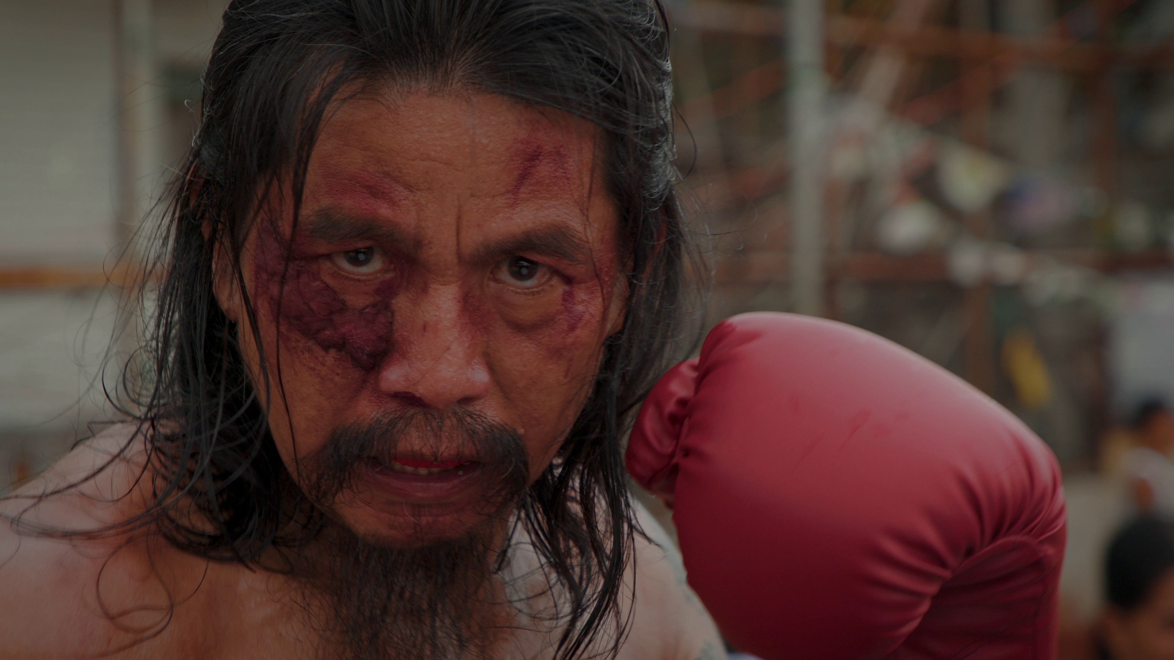 Backdrop for Left Cross