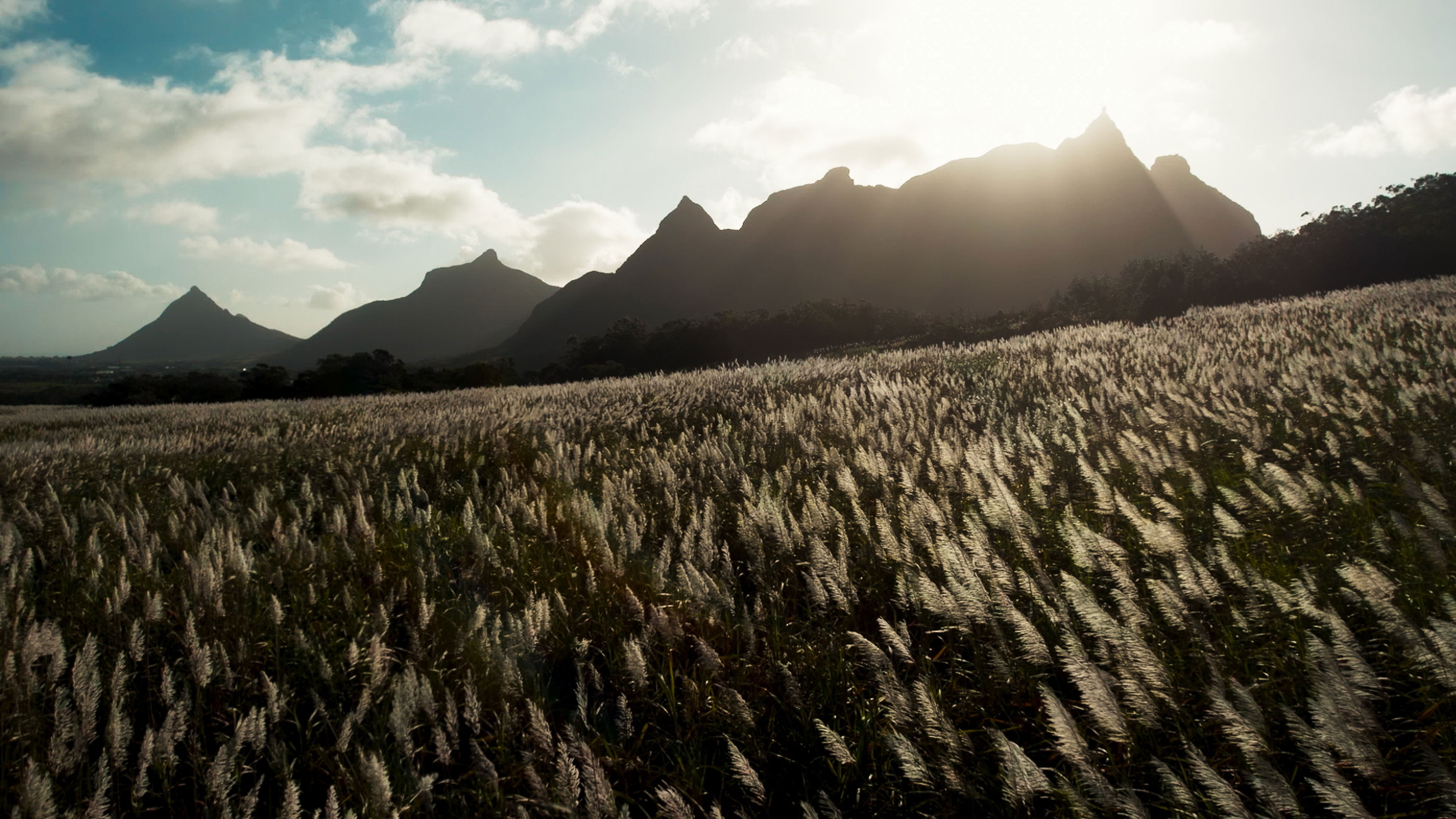 Backdrop for L’Offrande d’une vie
